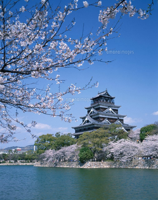 春の広島城跡と桜 広島市 広島県
(c)KENICHI MINORUDA/SEBUN PHOTO