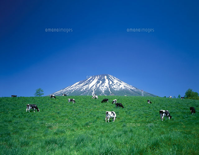 羊蹄山と牧場 北海道
(c)KENICHI MINORUDA/SEBUN PHOTO