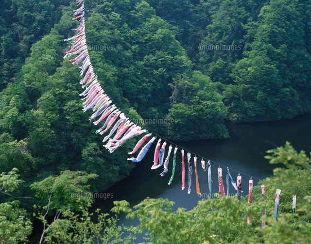 新緑の中をたなびく鯉のぼり 竜神峡 茨城県
(c)KENICHI MINORUDA/SEBUN PHOTO