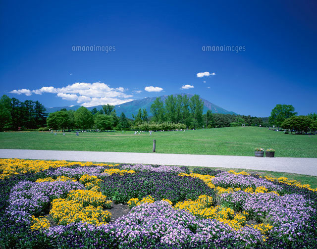 花咲く農場と岩手山
(c)KENICHI MINORUDA/SEBUN PHOTO