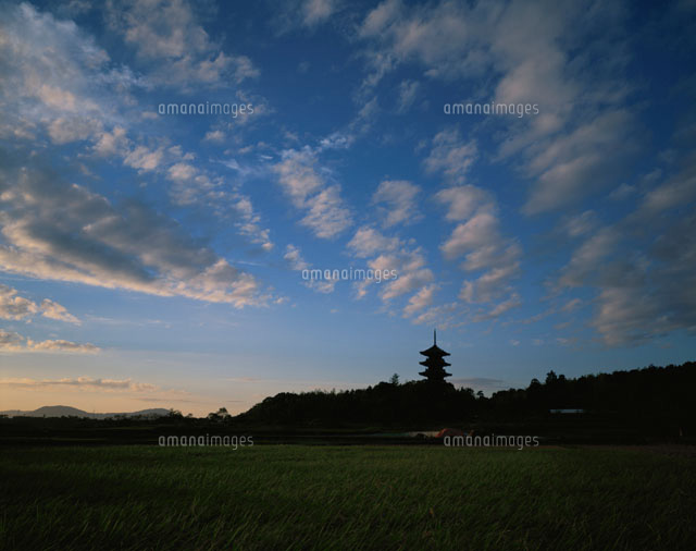 備中国分寺夕暮れ 総社寺 岡山県
(c)KENICHI MINORUDA/SEBUN PHOTO