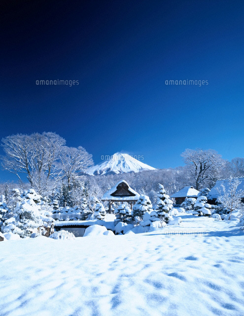 雪景色の忍野からの富士山 山梨県
(c)KENICHI MINORUDA/SEBUN PHOTO