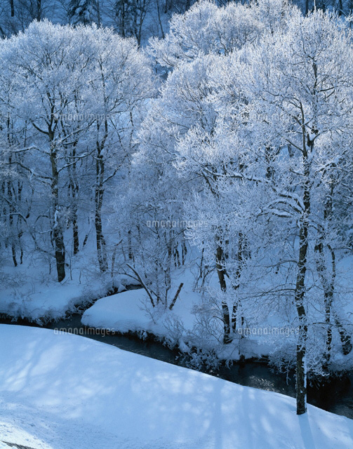 霧氷の木々 茅野市 長野
(c)KENICHI MINORUDA/SEBUN PHOTO