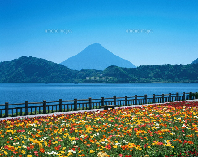池田湖と開聞岳 指宿市 鹿児島県
(c)KENICHI MINORUDA/SEBUN PHOTO