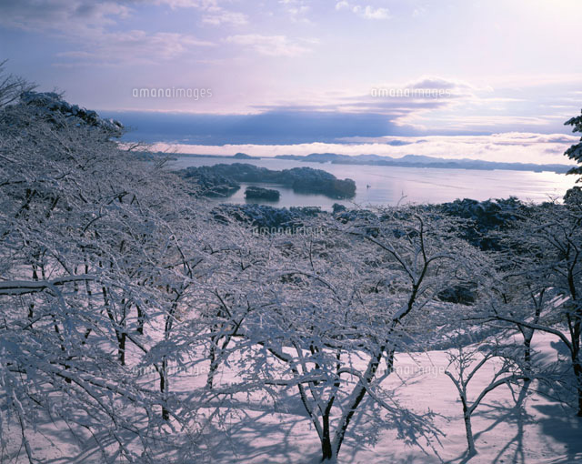 雪の松島
(c)KENICHI MINORUDA/SEBUN PHOTO