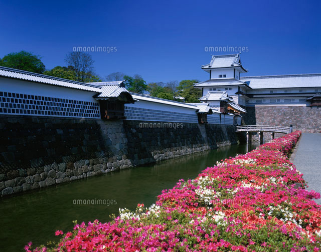 ツツジの金沢城址公園
(c)KENICHI MINORUDA/SEBUN PHOTO