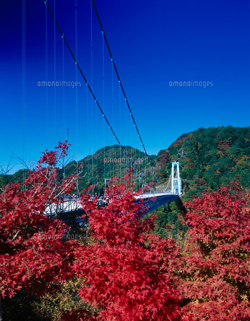 紅葉の竜神大吊橋
(c)KENICHI MINORUDA/SEBUN PHOTO