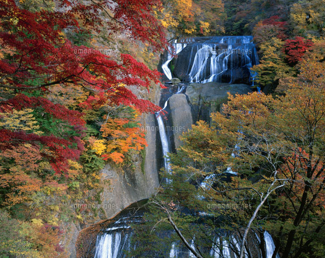 紅葉の袋田の滝 新観瀑台より望む
(c)KENICHI MINORUDA/SEBUN PHOTO