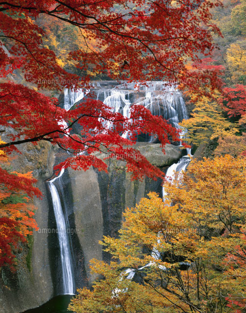 紅葉の袋田の滝 新観瀑台より望む
(c)KENICHI MINORUDA/SEBUN PHOTO