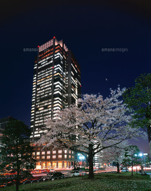 丸ビルの夜景とサクラの木 千代田区 東京都
(c)SEIJI TAJIMA/SEBUN PHOTO