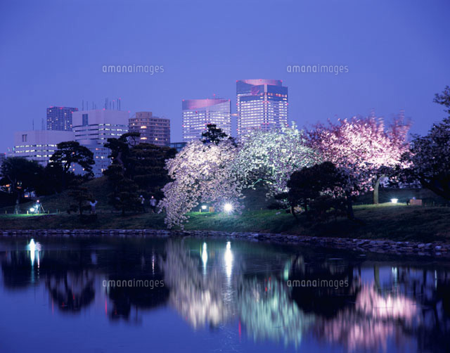 池に映るサクラの木と晴海アイランドタワー 東京都
(c)SEIJI TAJIMA/SEBUN PHOTO