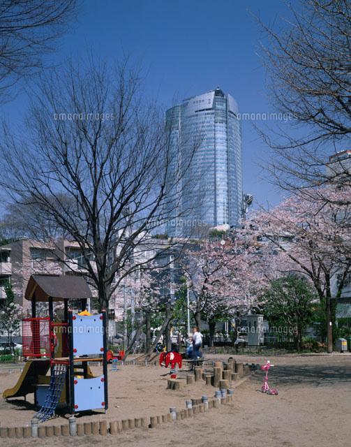 サクラの花咲く笄公園と六本木ヒルズタワー 港区 東京都
(c)SEIJI TAJIMA/SEBUN PHOTO