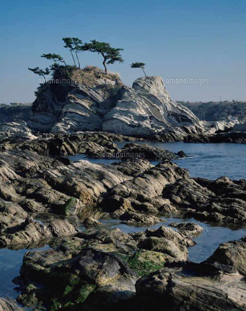 荒崎 三浦 神奈川県
(c)TOMOMI SAITO/SEBUN PHOTO