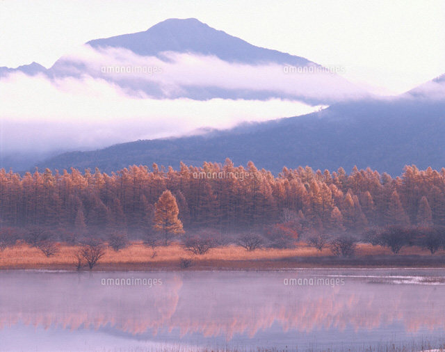 黄葉の小田代ヶ原 栃木県
(c)TOMOMI SAITO/SEBUN PHOTO