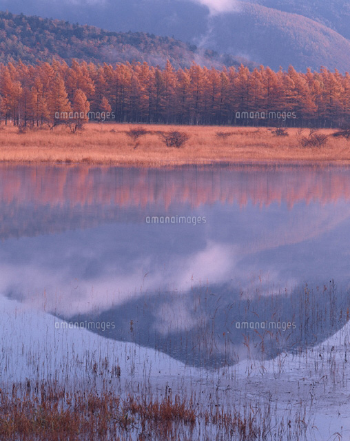 秋の小田代ヶ原の風景 日光 栃木県
(c)TOMOMI SAITO/SEBUN PHOTO