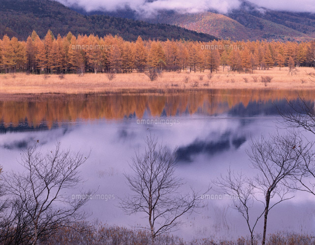 秋の小田代ケ原 栃木県
(c)TOMOMI SAITO/SEBUN PHOTO