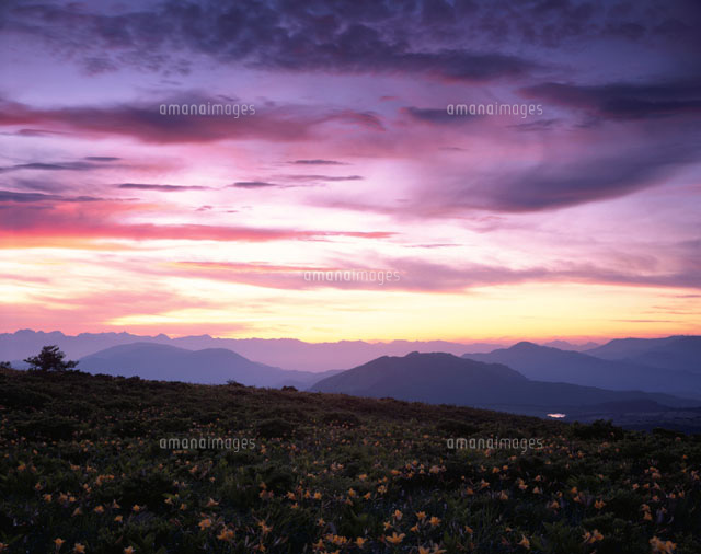 夕暮れの霧ケ峰と野原の花 長野県
(c)TOMOMI SAITO/SEBUN PHOTO