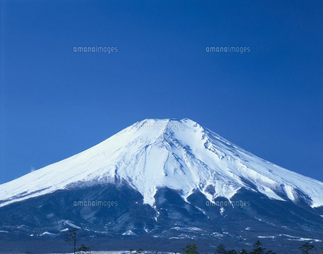 富士山と青空 忍野村 山梨県
(c)TOMOMI SAITO/SEBUN PHOTO