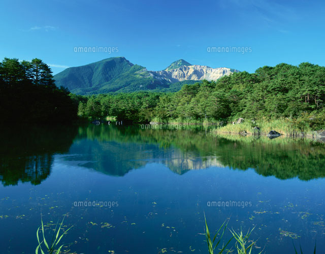夏の五色沼 毘沙門沼 裏磐梯 福島県
(c)TOMOMI SAITO/SEBUN PHOTO