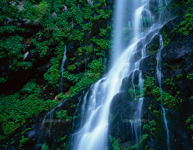 幕滝 福島県
(c)TOMOMI SAITO/SEBUN PHOTO