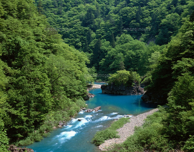 新緑の抱返渓谷(ウトウの中島) 田沢湖町 秋田県
(c)TOMOMI SAITO/SEBUN PHOTO