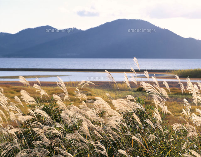 田沢湖とススキ 田沢湖町 秋田県
(c)TOMOMI SAITO/SEBUN PHOTO