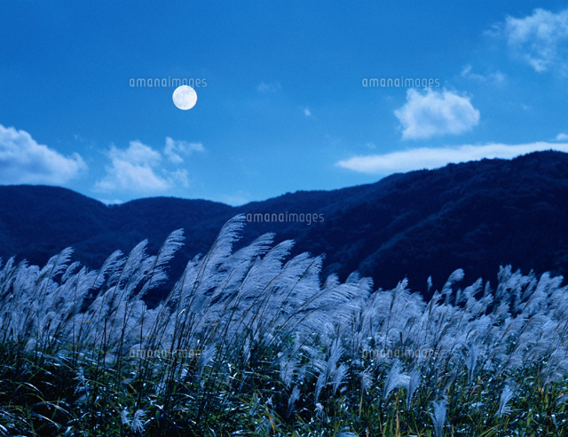 ススキと月 猪苗代町 福島県
(c)TOMOMI SAITO/SEBUN PHOTO
