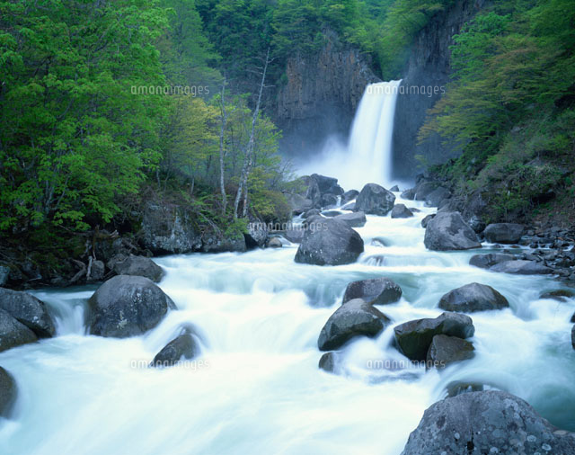 新緑の苗名滝 新潟県
(c)TOMOMI SAITO/SEBUN PHOTO