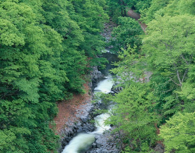 新緑の中津川渓谷 福島県
(c)TOMOMI SAITO/SEBUN PHOTO