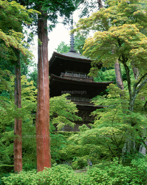 新緑の金剛輪寺 三重塔 秦荘町 滋賀県
(c)TOMOMI SAITO/SEBUN PHOTO