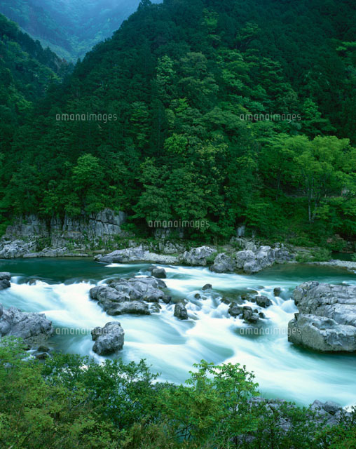 新緑の飛騨川 岐阜県
(c)TOMOMI SAITO/SEBUN PHOTO