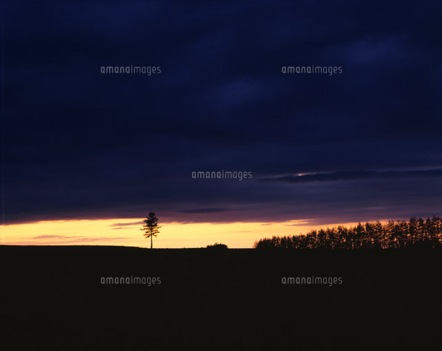 夕暮れの空と木立のシルエット 女満別 北海道
(c)KATSUHIRO YAMANASHI/SEBUN PHOTO