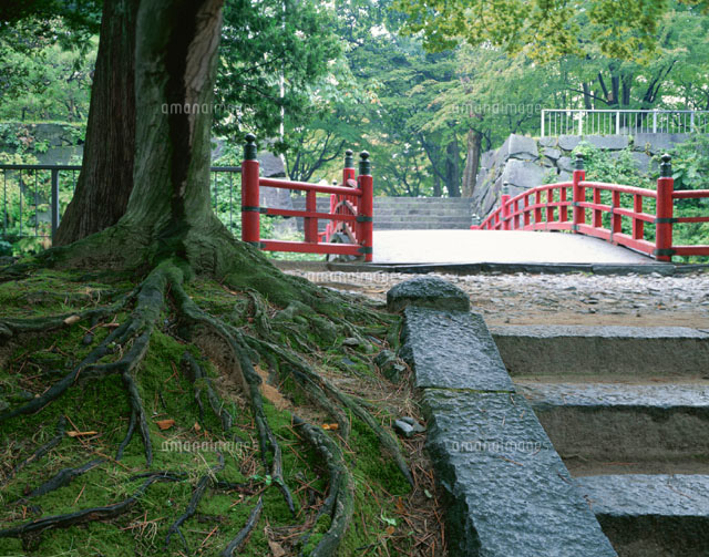 盛岡城跡 岩手県
(c)KATSUHIRO YAMANASHI/SEBUN PHOTO