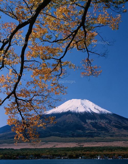 山中湖よりの富士山 山梨県
(c)KATSUHIRO YAMANASHI/SEBUN PHOTO