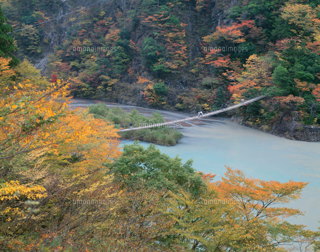 秋の寸又峡の夢の吊橋 本川根町 静岡県
(c)KATSUHIRO YAMANASHI/SEBUN PHOTO