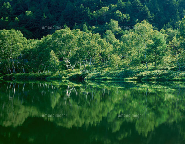 緑の木戸池 志賀高原 長野県
(c)KATSUHIRO YAMANASHI/SEBUN PHOTO