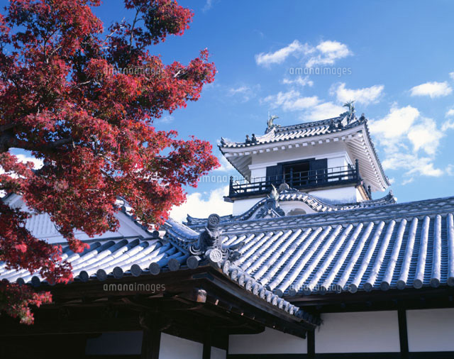 高知城 高知市 高知県
(c)KATSUHIRO YAMANASHI/SEBUN PHOTO