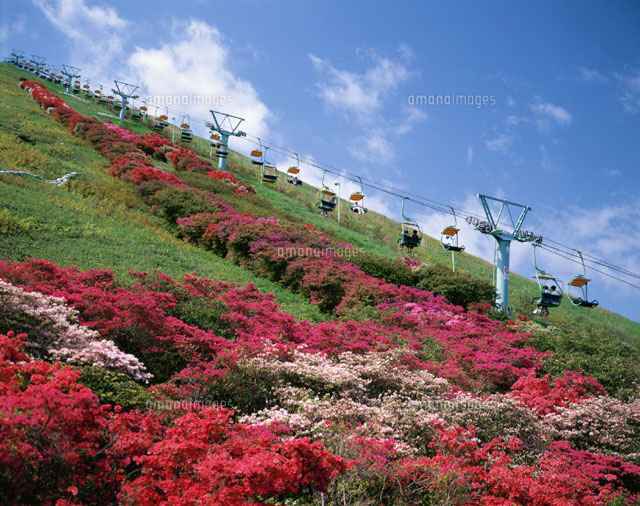 ツツジ咲く大室山 伊東市 静岡県
(c)KATSUHIRO YAMANASHI/SEBUN PHOTO