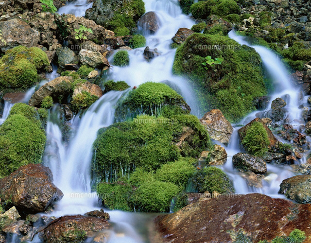 苔と流れ
(c)KATSUHIRO YAMANASHI/SEBUN PHOTO