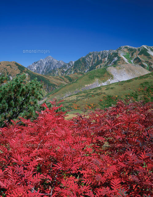 天狗平より剣岳
(c)KATSUHIRO YAMANASHI/SEBUN PHOTO