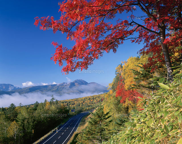 紅葉と三国峠から見たニペソツ山 上士幌町 北海道
(c)KATSUHIRO YAMANASHI/SEBUN PHOTO