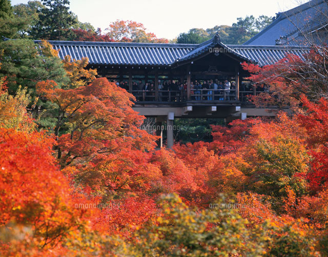 東福寺 京都府
(c)KATSUHIRO YAMANASHI/SEBUN PHOTO