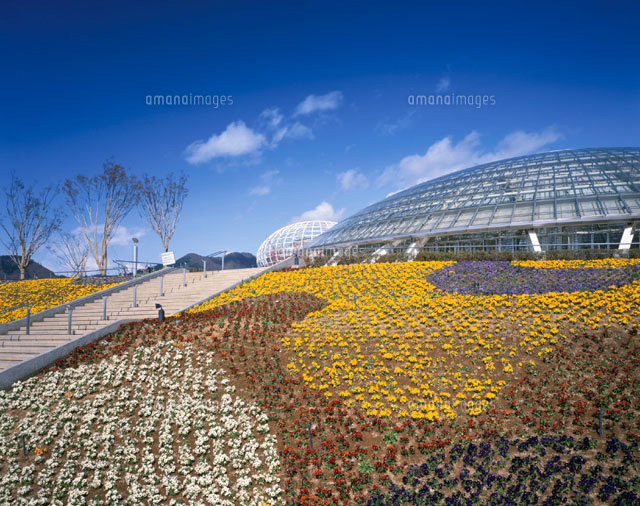 笛吹川フルーツ公園 山梨県
(c)KATSUHIRO YAMANASHI/SEBUN PHOTO