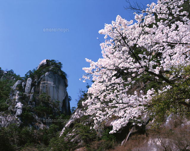 桜の昇仙峡 山梨県
(c)KATSUHIRO YAMANASHI/SEBUN PHOTO