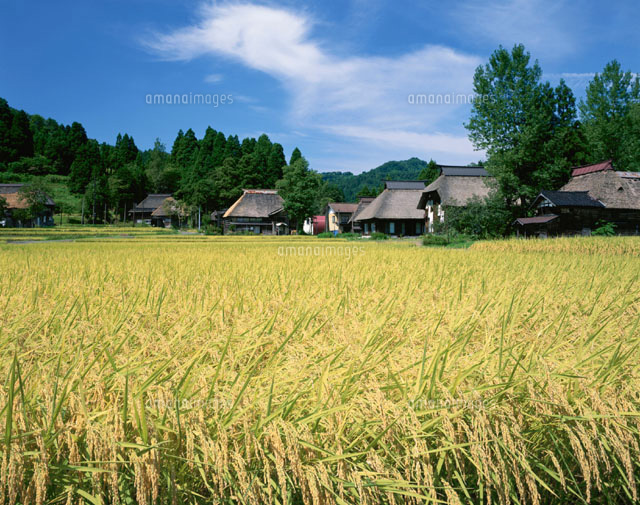荻の島かやぶきの里 高柳町 新潟県
(c)KATSUHIRO YAMANASHI/SEBUN PHOTO