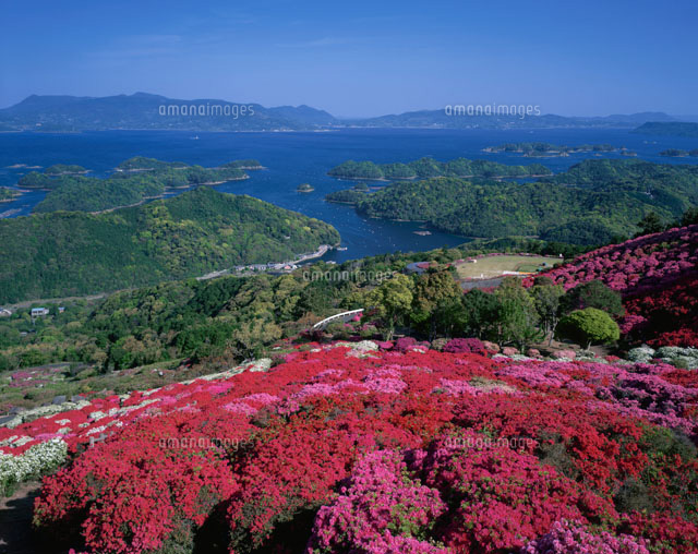 ツツジ咲く長串山 鹿町町 長崎県
(c)KATSUHIRO YAMANASHI/SEBUN PHOTO