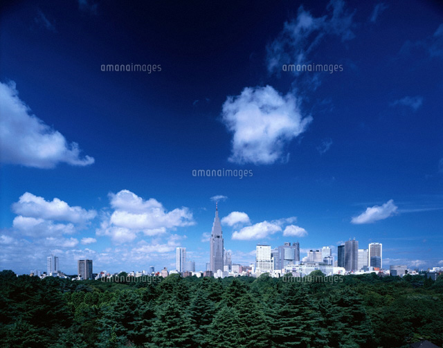 新宿高層ビル群 東京都
(c)KATSUHIRO YAMANASHI/SEBUN PHOTO
