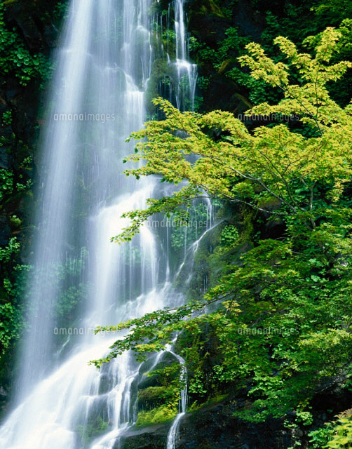 新緑と幕滝 福島県
(c)KATSUHIRO YAMANASHI/SEBUN PHOTO
