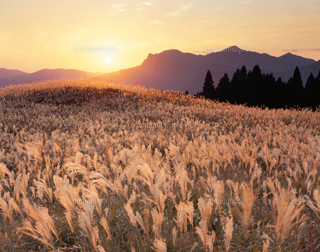 曽爾高原の夕景(オレンジ色) 曽爾村 奈良県
(c)KATSUHIRO YAMANASHI/SEBUN PHOTO