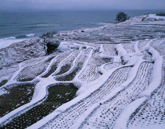 雪の千枚田の畑 輪島市 石川県
(c)KATSUHIRO YAMANASHI/SEBUN PHOTO